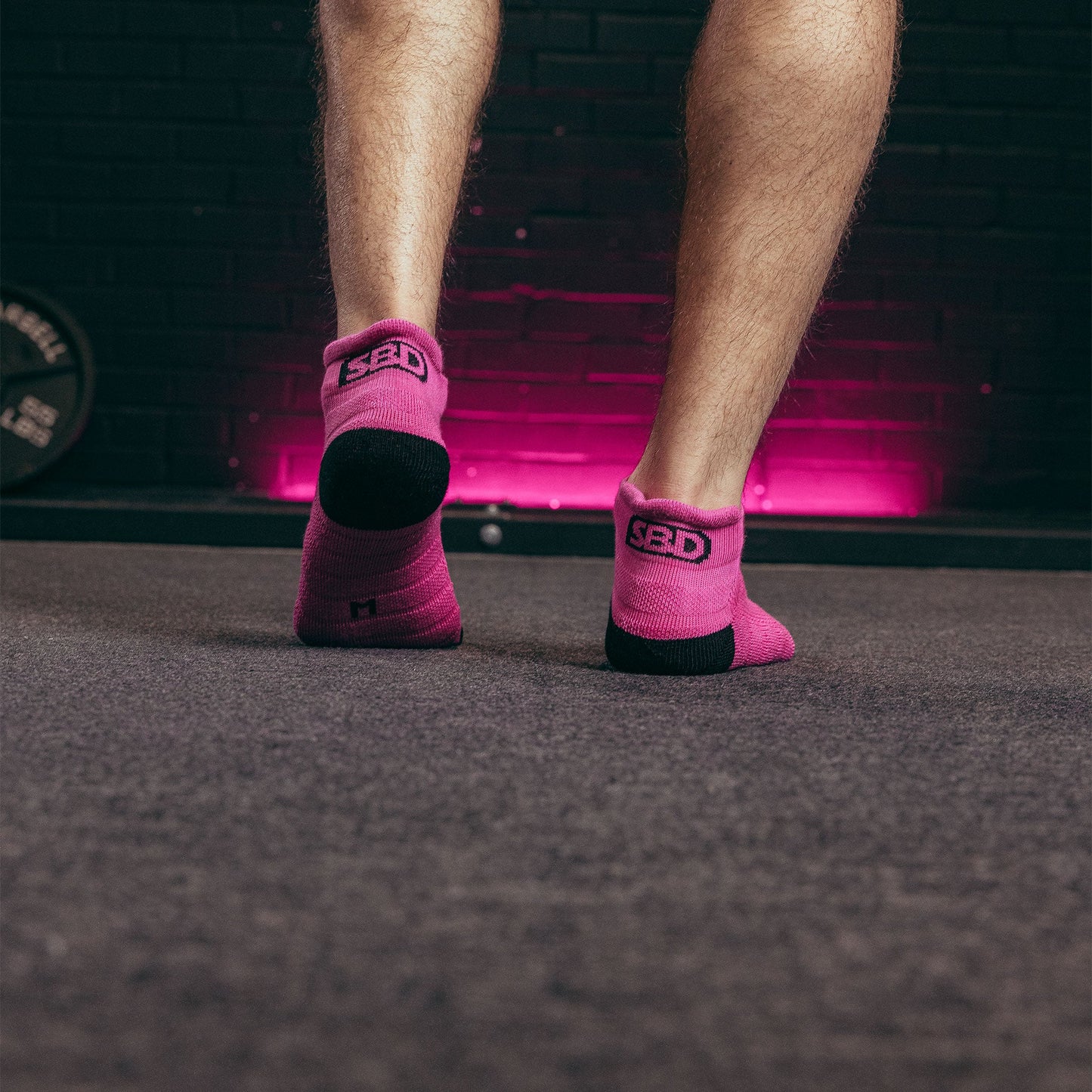 SBD Nova Range Trainer Socks